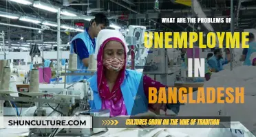 Unemployment Crisis in Bangladesh: Challenges, Impacts, and Urgent Solutions