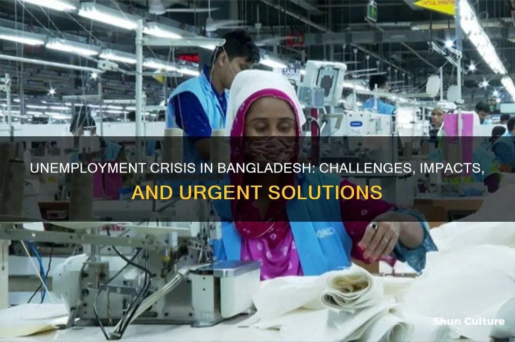 what are the problems of unemployment in bangladesh