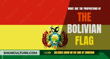 The Unique Proportions of Bolivia's Flag Explained