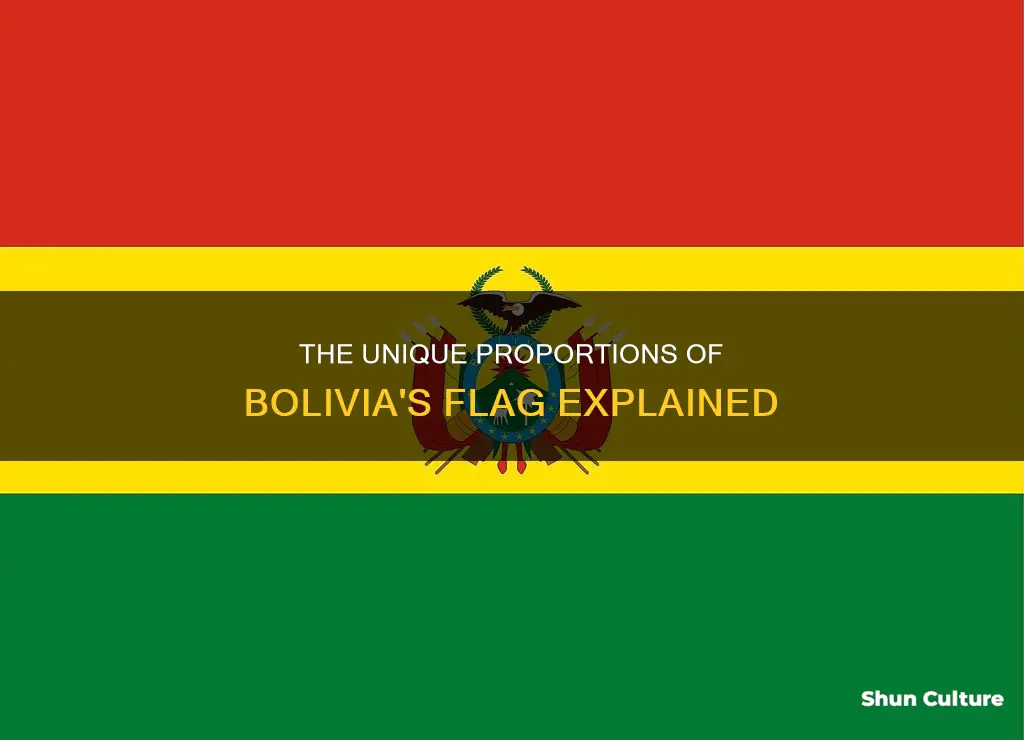 what are the proportions of the bolivian flag