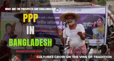PPP in Bangladesh: Prospects, Challenges, and Future Opportunities
