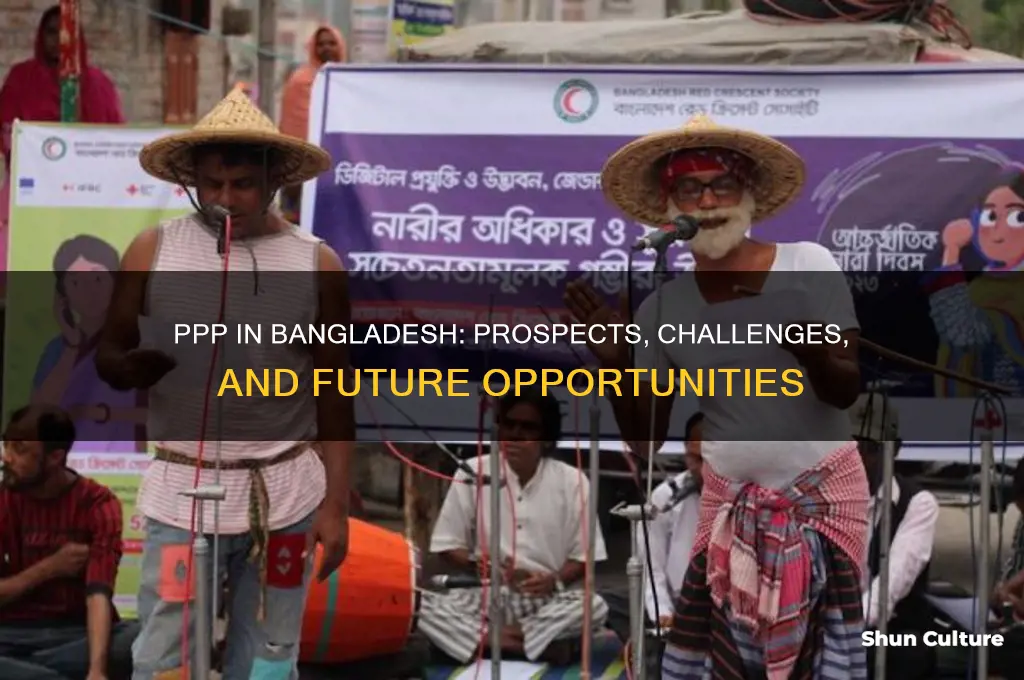 what are the prospects and challenges of ppp in bangladesh
