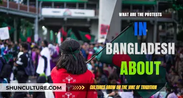 Bangladesh Protests Explained: Unraveling the Causes and Demands