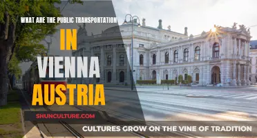 Vienna's Public Transport: Exploring Austria's Capital Efficiently