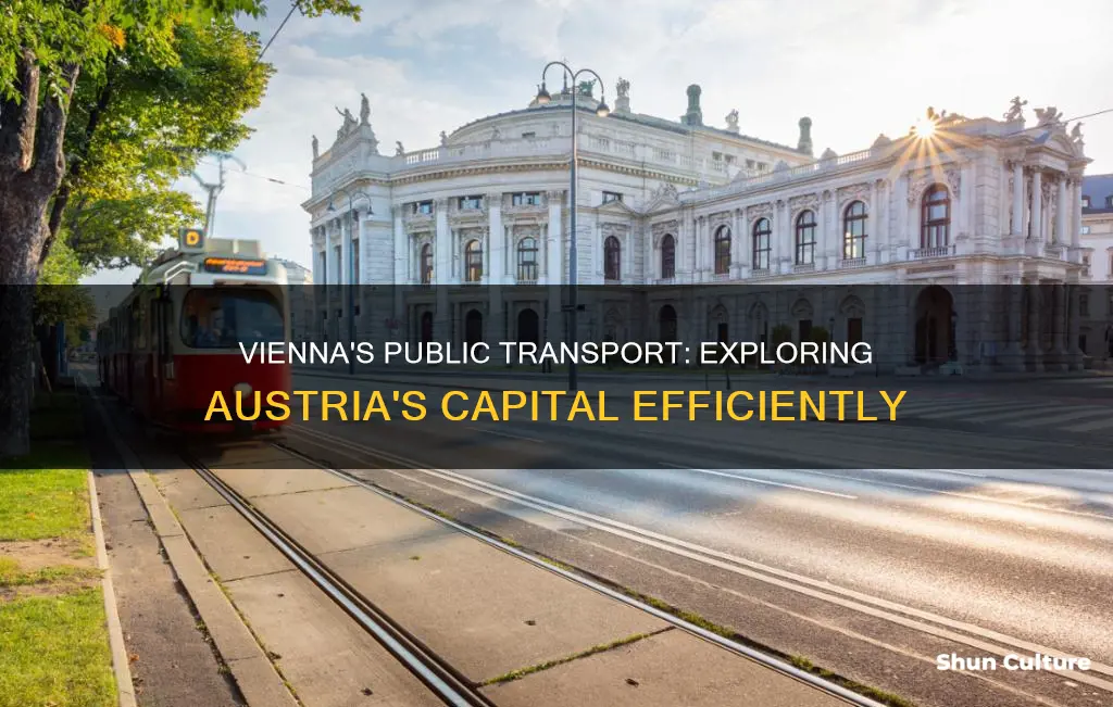 what are the public transportation in vienna austria