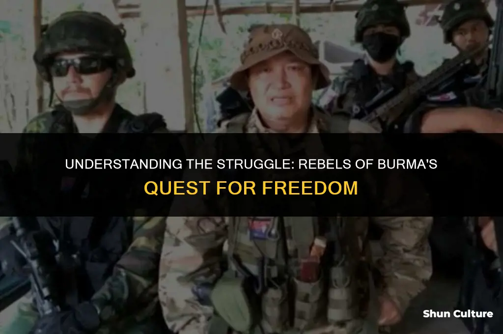 what are the rebels of burma fighting for