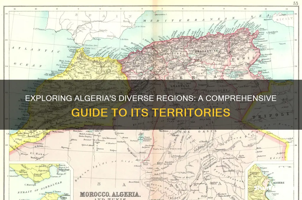 what are the regions in algeria