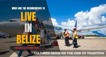 Belizean Dream: Navigating the Requirements for Living in Belize