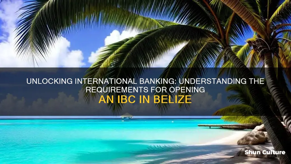 what are the requirements to open an ibc in belize