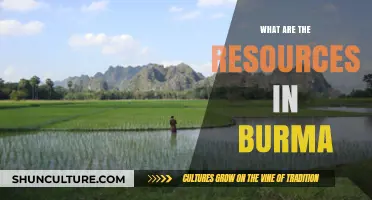 Exploring Myanmar's Riches: A Guide to the Country's Abundant Resources