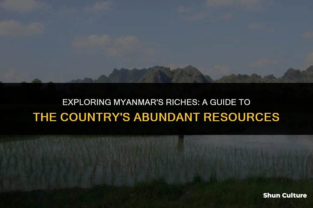what are the resources in burma