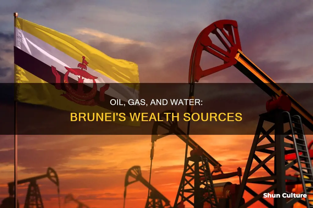 what are the resources of brunei that create its wealth