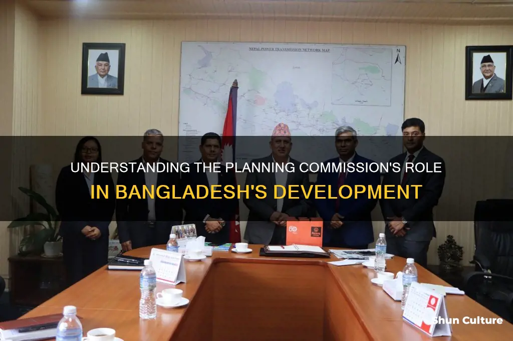 what are the role of planning commission in bangladesh