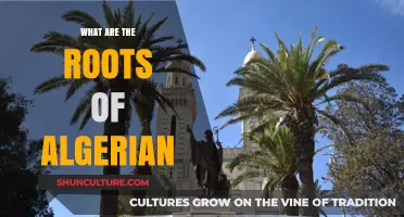 Exploring the Historical and Cultural Roots of Algerian Identity