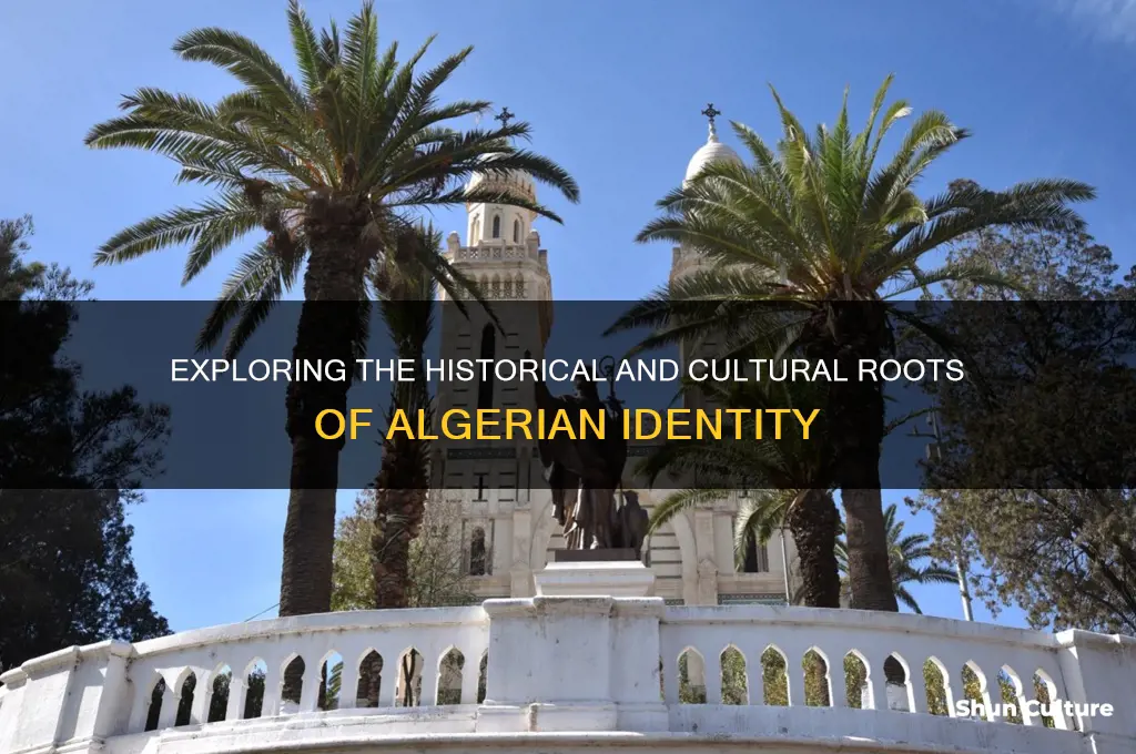what are the roots of algerian