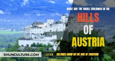 Austria's Hill-Perched Buildings: A Unique Architectural Mystery