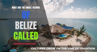 The Puzzle of Belize's Islands: Unraveling the Mystery of the Cayes