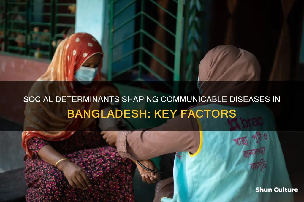 what are the social determinants of communicable diseases in bangladesh