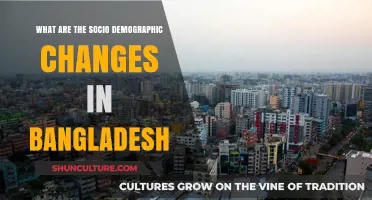 Bangladesh's Socio-Demographic Evolution: Trends, Challenges, and Opportunities