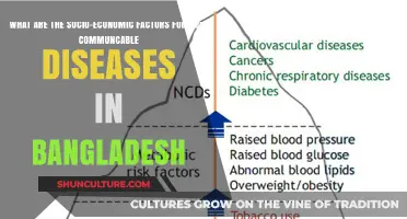 Socio-Economic Drivers of Non-Communicable Diseases in Bangladesh