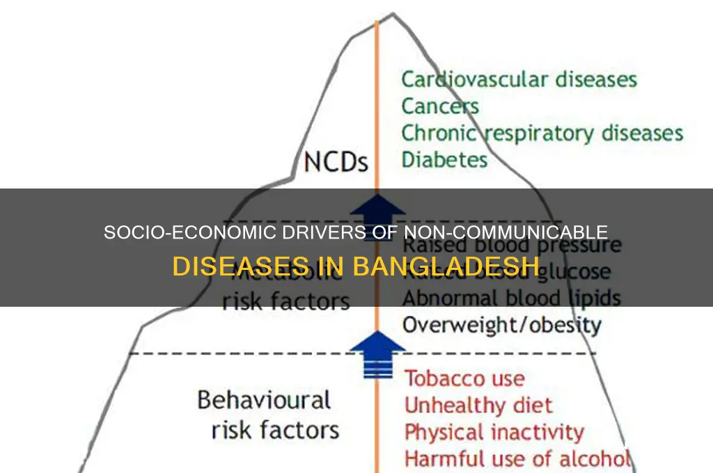 what are the socio-economic factors for non-communcable diseases in bangladesh