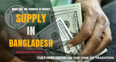 Exploring Bangladesh's Money Supply: Key Sources and Economic Drivers