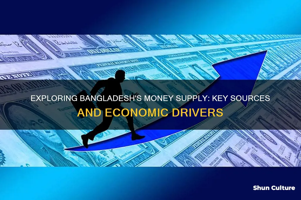 what are the sources of money supply in bangladesh