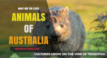 Australia's State Animals: A Comprehensive Guide