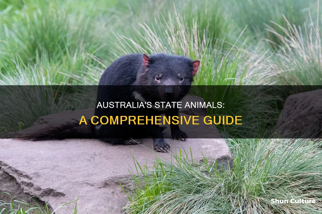 what are the state animals of australia