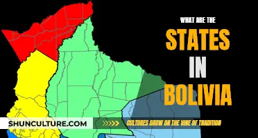 Exploring the Unique States of Bolivia