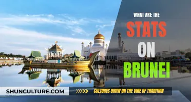 Brunei: A Statistical Overview of the Nation