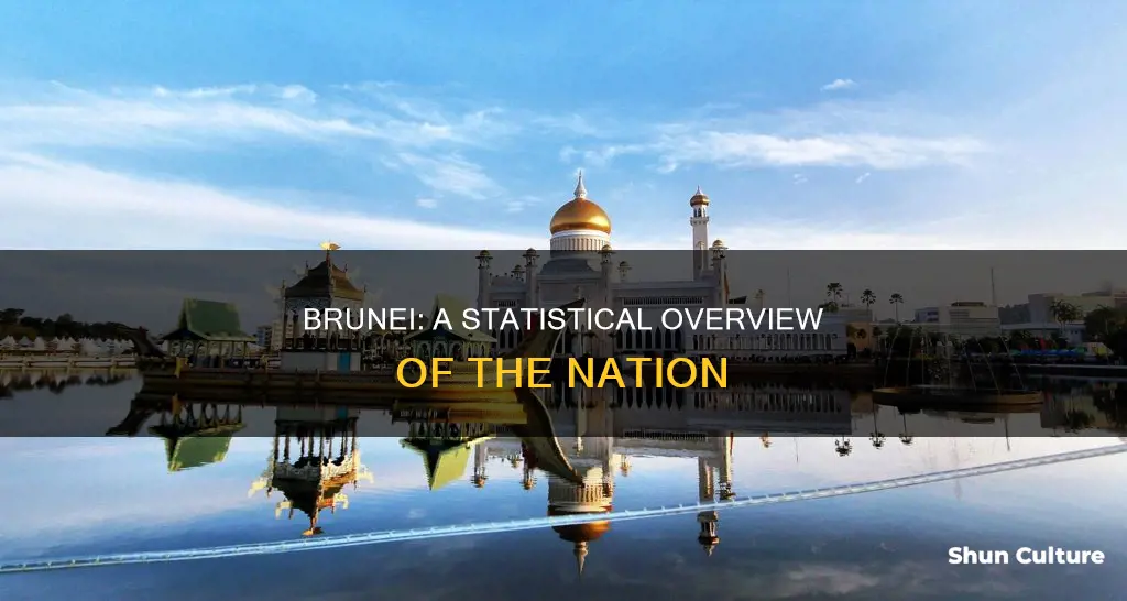 what are the stats on brunei