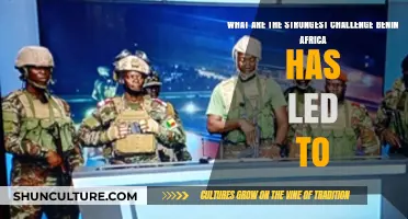 Overcoming Adversity: Benin's Resilience in the Face of Africa's Toughest Challenges