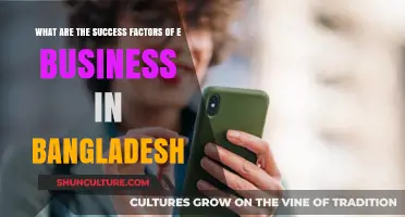 Key Success Factors Driving E-Business Growth in Bangladesh