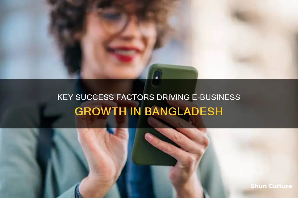 what are the success factors of e business in bangladesh