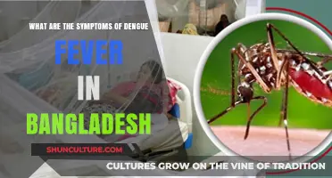 Dengue Fever in Bangladesh: Recognizing Symptoms and Early Warning Signs