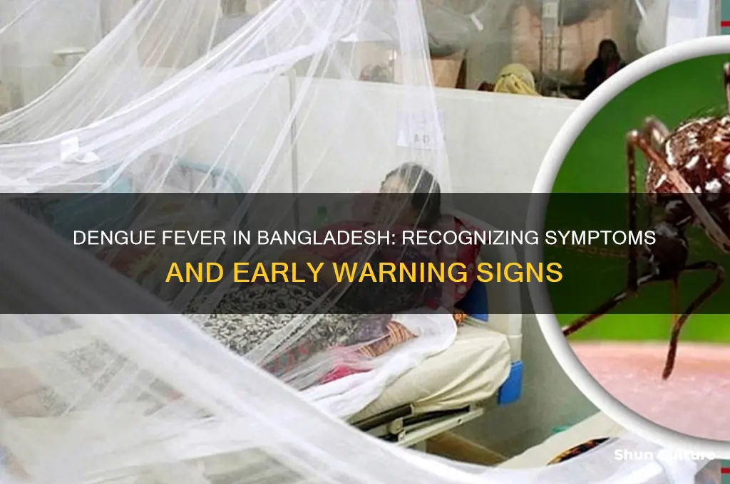 what are the symptoms of dengue fever in bangladesh