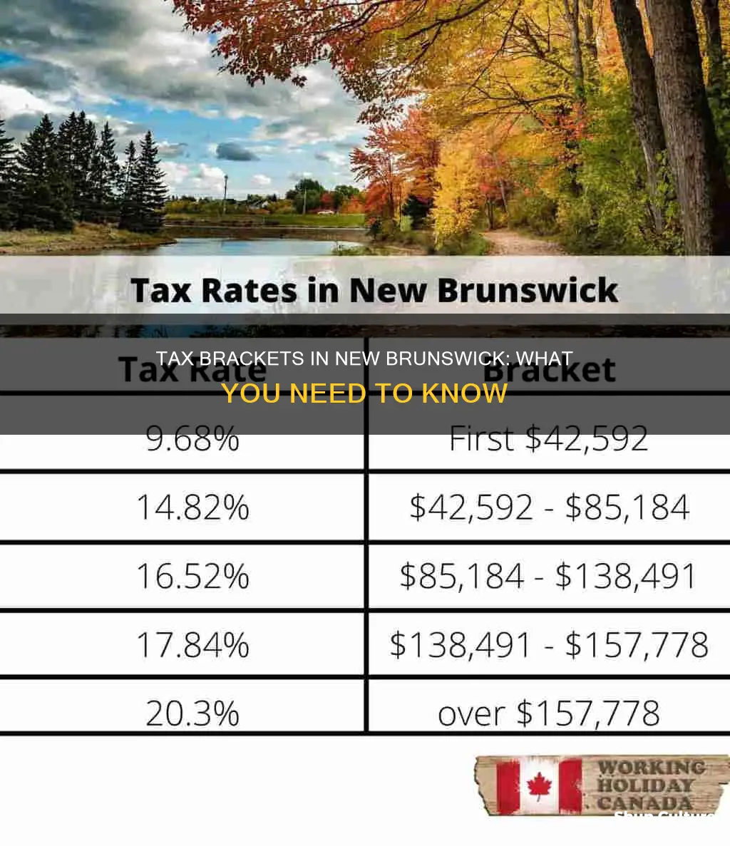 what are the tax brackets in new brunswick