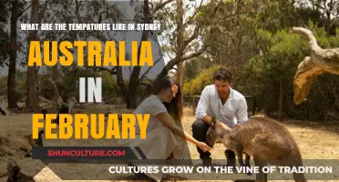 Sydney Weather in February: Sunny and Warm