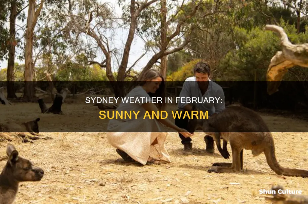 what are the tempatures like in sydney australia in February