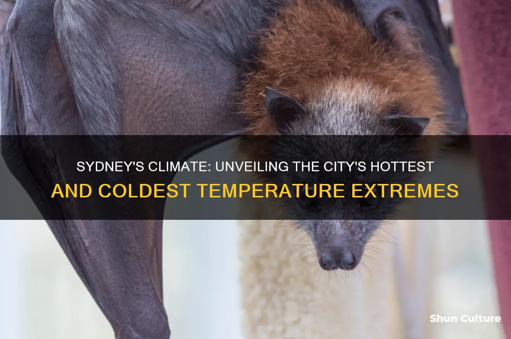 what are the temperature extremes in sydney australia