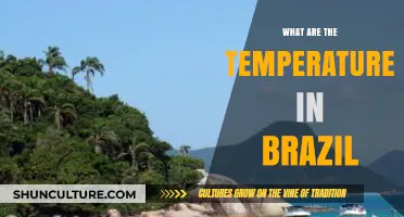 Exploring Brazil's Climate: Average Temperatures Across Regions