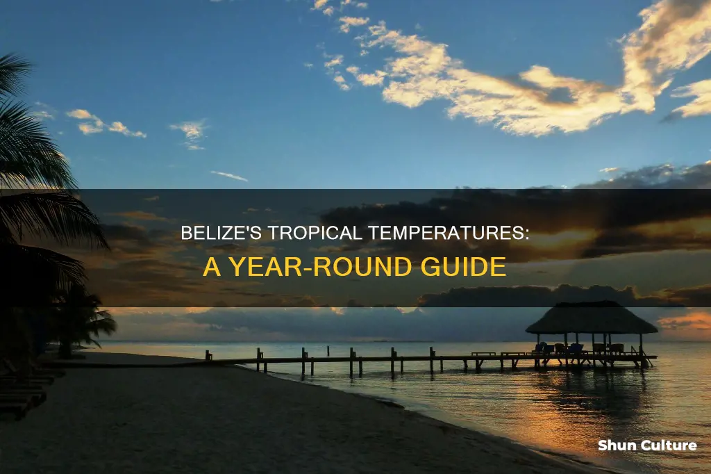 what are the temperatures like in belize