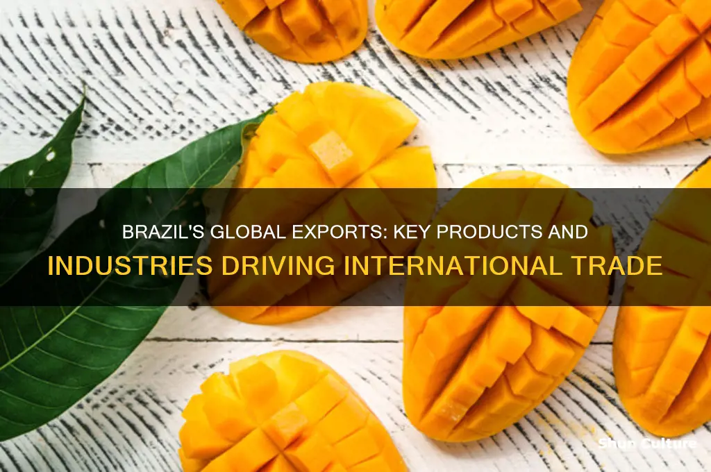 what are the things brazil sell to other countries