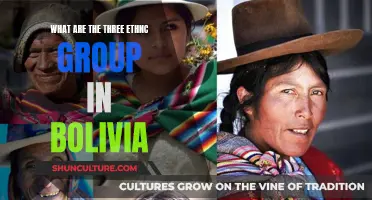 Exploring Bolivia's Rich Cultural Diversity: Three Ethnic Groups