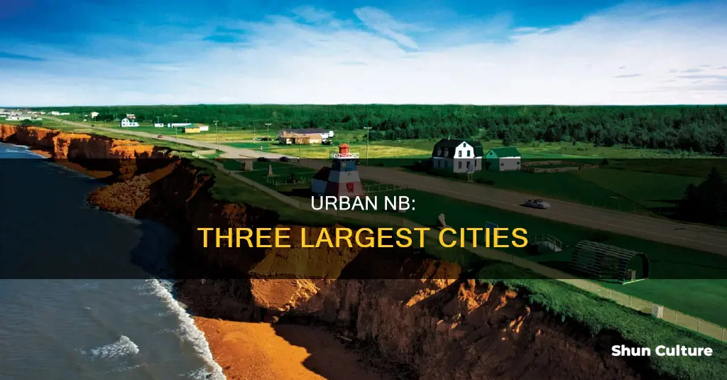 what are the three largest cities in new brunswick