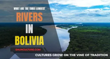 Exploring Bolivia's Longest Rivers: A Comprehensive Guide