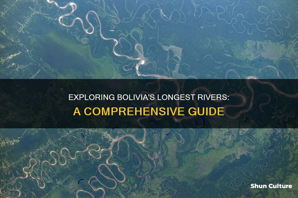 what are the three longest rivers in bolivia