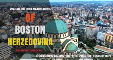 Boston Herzegovina's Top Exports: Key Industries and Global Trade Insights
