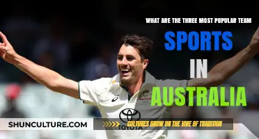Team Sports Down Under: Australia's Top Three